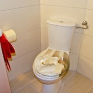 Bad/WC